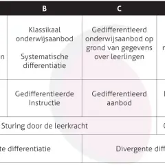 Tabel met vier kolommen (A-D) en rijen die verschillende onderwijsaanpakken tonen, waaronder 'divergente differentiatie' in kolom D.