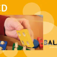 DCD kenmerken: hand met houten blokjes, oefenen met vormen en kleuren. Balans voor ieder gezin.