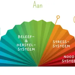 Een waaier toont de prikkelverwerking: van onderprikkeling, via beleef- & herstelsysteem, naar stress- en noodsysteem. Dit helpt bij het begrijpen van autisme.