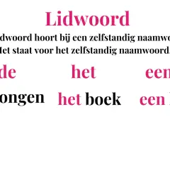 Lidwoorden zoals 'de', 'het' en 'een' horen bij een zelfstandig naamwoord. Ze geven aan of het gaat om 'de jongen', 'het boek' of 'een kat'.