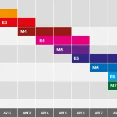 Grafiek toont de voortgang van geletterdheid en schoolsucces per groep, van START tot AVI 9 plus.