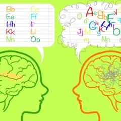 Twee hersenen, één met geordende letters, de ander met een chaos van letters, suggereert een bovengemiddeld iq.