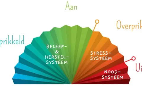 Een waaier toont de prikkelverwerking: van onderprikkeling, via beleef- & herstelsysteem, naar stress- en noodsysteem. Dit helpt bij het begrijpen van autisme.
