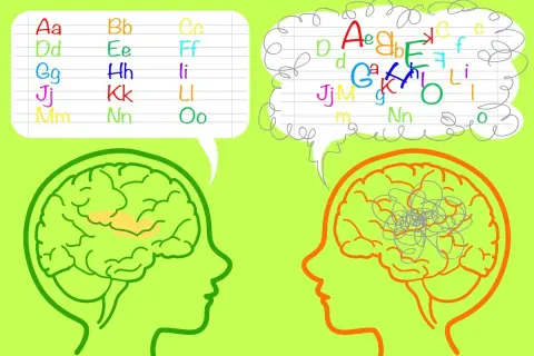 Twee hersenen, één met geordende letters, de ander met een chaos van letters, suggereert een bovengemiddeld iq.