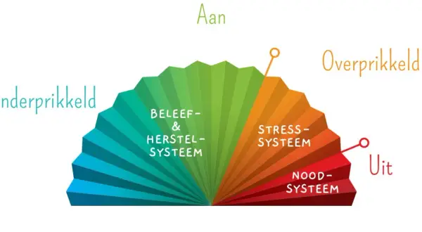Een waaier toont de prikkelverwerking: van onderprikkeling, via beleef- & herstelsysteem, naar stress- en noodsysteem. Dit helpt bij het begrijpen van autisme.