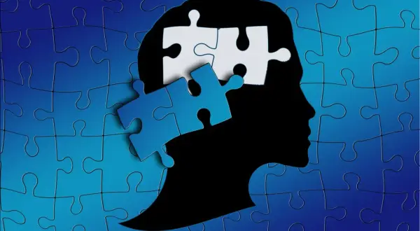 Een hoofdprofiel, opgebouwd uit puzzelstukjes, symboliseert de ontwikkeling van het kind in het jenaplan onderwijs.