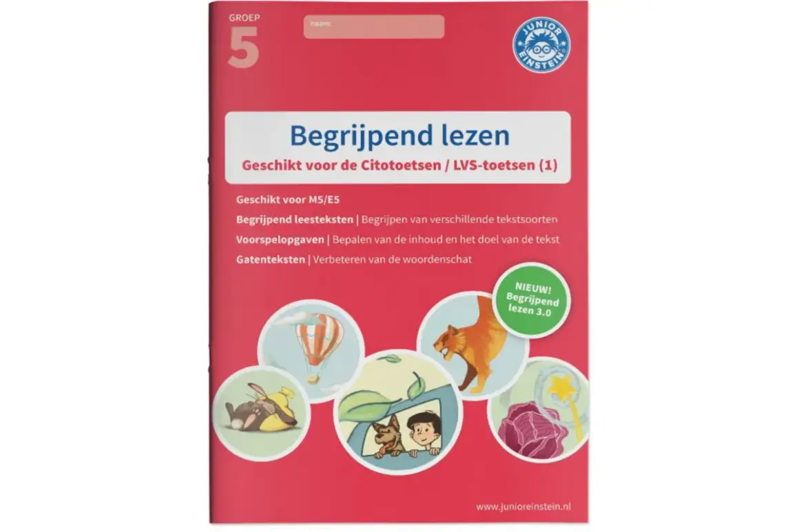 Werkboek voor begrijpend lezen groep 5, met illustraties van een luchtballon, tijger, konijn, jongen met hond en een toverstaf.