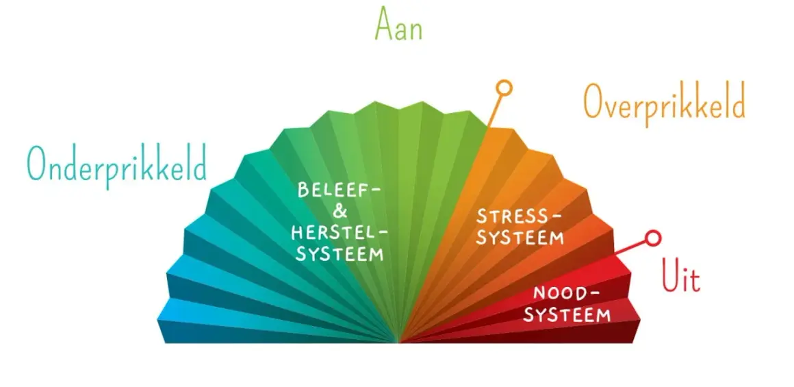 Een waaier toont de prikkelverwerking: van onderprikkeling, via beleef- & herstelsysteem, naar stress- en noodsysteem. Dit helpt bij het begrijpen van autisme.