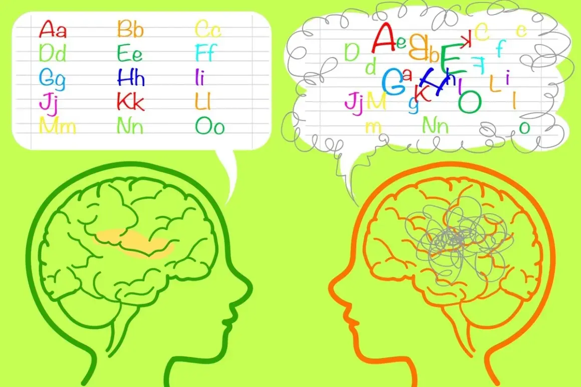 Twee hersenen, één met geordende letters, de ander met een chaos van letters, suggereert een bovengemiddeld iq.