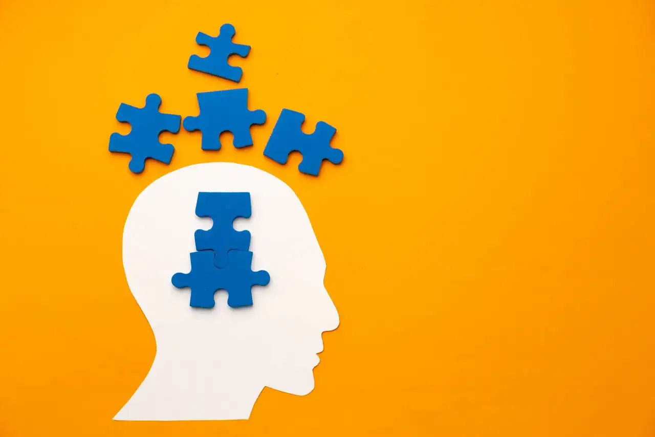 PDD-NOS (Engels) - Wat betekent de oude diagnose nu?