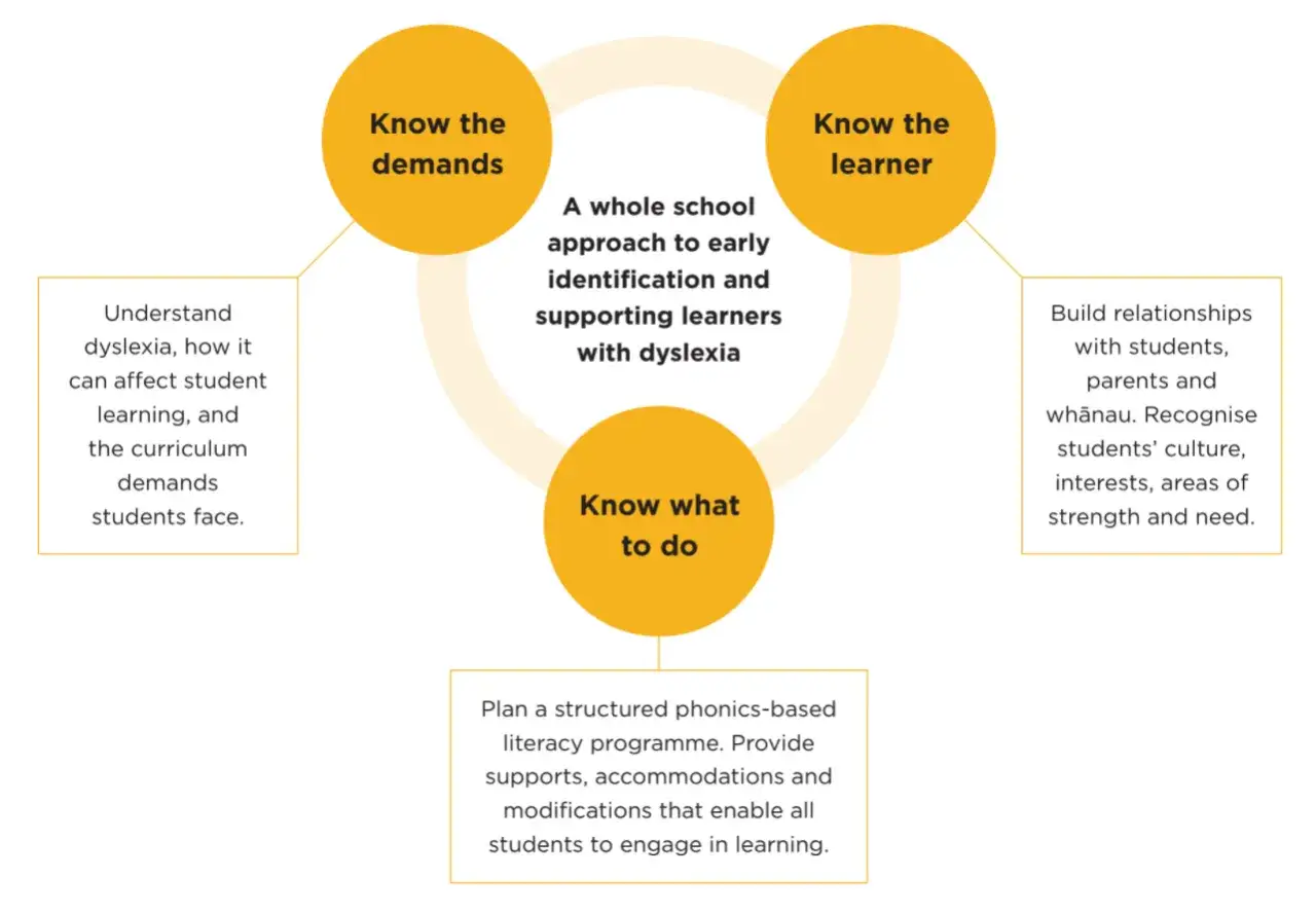 Diagram overzicht van Noelle Pameijer: ken de eisen, de leerling en wat te doen voor een schoolbrede aanpak bij dyslexie.