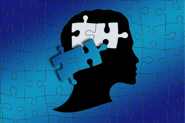 Een hoofdprofiel, opgebouwd uit puzzelstukjes, symboliseert de ontwikkeling van het kind in het jenaplan onderwijs.